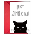 Cute cat birthday card set with happy schnurrsday text and red envelope for gifts - Cat