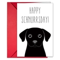 Cute dog cartoon birthday card with red envelope and Happy Schnurrsday greeting text - Dog
