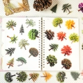 Assorted realistic forest tree PET stickers for scrapbooking on a white notebook - T01042989