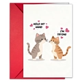 Grappige katten Valentijnsdag wenskaart met rode envelop set voor stellen en geliefden - Kat Stijl
