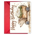 Set biglietto compleanno con riccio ad acquerello e busta rossa vivace - Stile Riccio Che Guida Il Carretto (T020401721)