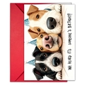 Funny dog party birthday card with red envelope and festive puppy illustration - Party Dog A (T020401731)