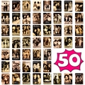 50 pieces of vintage friendship quote cards with sepia photography and matte finish - T01042824