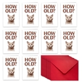 Pack de 10 divertidas tarjetas de cumpleaños de gato y sobres rojos con 'HOW OLD?' - Estilo de Gato (T02040288)