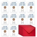 Set de 10 divertidas tarjetas de cumple de beagle con sobres rojos y texto - Estilo de Perro (T02040289)