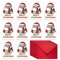 Flat lay of 10 cartoon Santa Claus Christmas cards with matching red envelopes set - Santa Hugging Reindeer Style (T02040126)