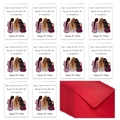Set of 10 illustrated birthday cards and red envelopes celebrating friendship - Three Sisters Back View Style (T02040204)