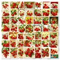 56 pieces of vintage strawberry aesthetic stickers for DIY journals and tablet decoration - Vintage Strawberry Series Style (T01042791)