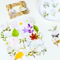 56 adesivi PET trasparenti con fiori e foglie per diari e laptop in stile naturale - Serie Botanica Floreale (T01042779)