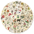Pegatinas vintage con bordes quemados, flores y mariposas para scrapbooking botánico - Estilo Vintage de Flores Botánicas y Mariposas (T01042886)