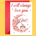 Set de tarjeta de San Valentín con ilustración de ciervos en acuarela y sobre rojo - Estilo Árbol de Sakura Ciervos Acurrucados (T02040174)