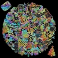 Macro detail of holographic Christmas PET stickers with sparkling laser silver finish - Christmas Hat Style