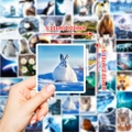 Wasserdichte Arktis-Tieraufkleber 50er-Set, quadratische Polar-Wildtier-Sticker 5cm - Polar Realistische Fotografie Serie (T01041124)