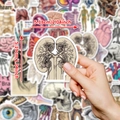 Cute realistic medical anatomy stickers with vintage hand-drawn kidney art for scrapbooks - Kidney Anatomy Style(T01042531)
