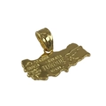 Close-up of gold Turkey map pendant featuring engraved major city names like Istanbul - Pendant Only (Without Chain)