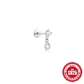 Orecchini in argento S925 con zirconi cubici a taglio rotondo e a goccia lucidi - Stile Goccia d'argento