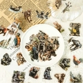 50 realistische dierenstickers van PET met tijger, koala en olifant voor DIY-decor - Realistisch Dierenpatroon (T01042265)