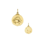 Vue détaillée du pendentif Cancer avec relief de crabe et carte des étoiles en argent S925 - Or 18K Cancer