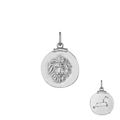 S925 sterling zilveren Leeuw sterrenbeeld ketting met reliëf leeuw en sterrenbeeld - Leeuw / Witgoud