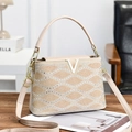 Striped handbag with shimmering rhinestones and gold V buckle on a wooden desk - Khaki