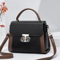 Retro two-tone crossbody mini bag in black and brown leather with gold metal buckle - Black