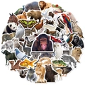 50 adesivi realistici di animali dello zoo in PVC impermeabile per decorazioni bimbi - Serie Zoo (T01040602)