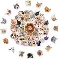 Pack of 50 funny cat stickers featuring various breeds in cute and humorous poses - Goofy Cat Heads (T01040935)