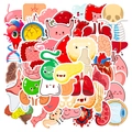 50-piece set of kawaii human organ cartoon stickers for student learning and decoration - Cute Human Organs