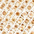Detailed grid layout of vintage sunflower cards with warm autumn patterns and quotes - Sunflower Motivational Series (RXHB0126) / 36 Sheets
