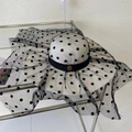 Détail d'un chapeau de paille élégant avec voile en résille à pois et boucle dorée - Blanc