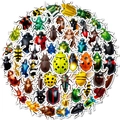 56 pieces of realistic colorful beetle stickers in a circular layout for DIY insect decor - T01043123