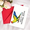 Birthday card set with colorful parrot illustration and vibrant red envelope on silk fabric - Birthday Parrot (T020402147)