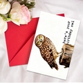 Birthday owl greeting card with red envelope set on elegant white silk background - Birthday Owl (T020402149)