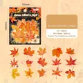 Autumn Maple Leaf stickers set for journaling, 30 pieces in varied seasonal fall colors - Autumn Maple Diary
