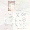 PET Forest Bird stickers with 3D laser silver finish for DIY scrapbook crafts - Forest Dream Feather