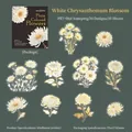 Golden foiled PET stickers featuring daisy flower patterns for DIY journal decoration - Daisy Blooms