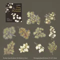 Frosted Foliage PET floral stickers with gold stamping for DIY crafts 10pcs set - Frost-Dyed Leaves