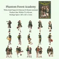 Magic Academy DIY Sticker Set mit 15 einzigartigen handgezeichneten Anime-Charakterdesigns - Tiefwald-Akademie