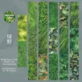 Natural Texture Library washi tape in Green Fields theme with leaf and grass patterns - Green Field