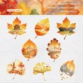 Autumn themed watercolor leaf stickers set including maple and ginkgo designs for DIY decor - Autumn Color