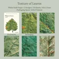 Whisper of Leaves collection: 50 sheets of white kraft paper with realistic leaf vein patterns - Leaf Texture