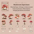 Vintage paddenstoelenstickers op wit kraftpapier voor DIY-journaling en decoratie - Karmozijnrode Paddenstoel