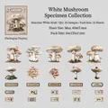 25 adesivi di funghi bianchi vintage su carta kraft per scrapbooking e decori - Fungo Bianco