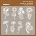 Daisy theme PET sticker set with 16 pieces of brown line art floral designs for DIY - Cloud Daisy