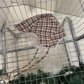 Cappello da aviatore scozzese invernale con calda fodera in pile e paraorecchie - 56-58cm / Cachi