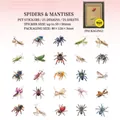 Adesivi in PET decorativi serie insetti ragno e mantide per scrapbooking e diari - Serie Esemplari di Insetti - Ragno E Mantide 25Pz (5996293929592)
