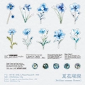 Blue watercolor floral PET stickers featuring 20 vintage botanical designs for scrapbooking - Bright Summer Flowers
