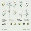 Floral PET stickers for journaling featuring vintage hand-drawn flowers and seals 40 pieces - Summer Blossoms