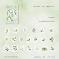 Botanische PET-stickers set met 40 groene bladillustraties voor uw dagboek en meer - 40 Stuks/Pack / Groene Blad Kroniek