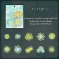 Adesivi per fuochi d'artificio in PET per DIY, 20 pezzi stile pioggia di stelle radiose - Pioggia di Stelle Brillante
